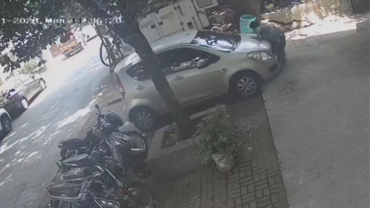 Pune Crime: कार चालकाचा ताबा सुटला आणि महिला आली थेट चाकाखाली चिरडली; CCTV मध्ये कैद थरार