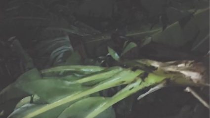 BEED : केज तालुक्यात हाहाकार, जनजीवन पूर्ण विस्कळीत शेतकऱ्यांना अश्रू अनावर