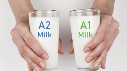 A1 And A2 Milk :  तुम्ही कोणतं दुध पिता A1 की A2 ? हा प्रकार नेमका आहे तरी काय ?