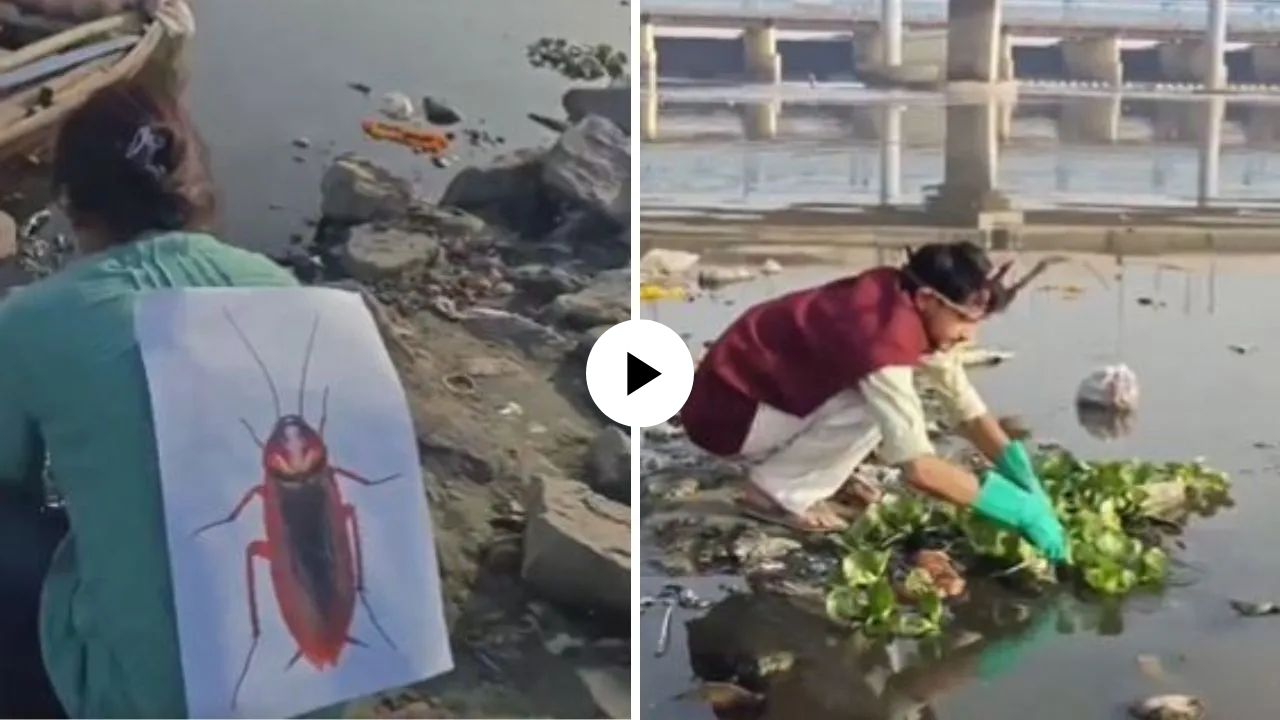 CJP VIDEO : कॉकरोचा वेश परिधान करुन यमुना नदी स्वच्छ करायला पोहोचले तरुण; VIRAL VIDEO मुळे नव्या चर्चांना उधाण