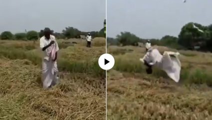 Farmer Video : कष्टाचं सोनं झालं! पीक येताच शेतकऱ्याचा आनंद गगनात मावेना; लहान मुलासारख्या मारु लागला उड्या, Video Viral