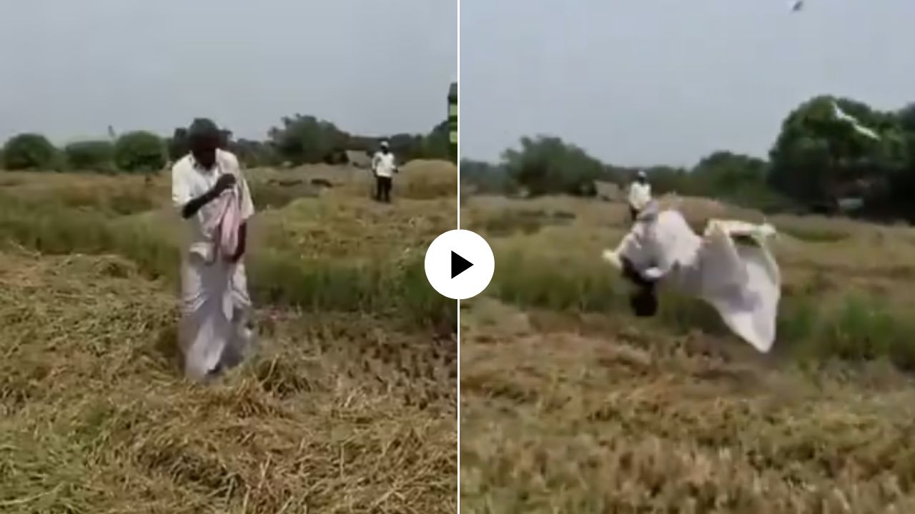 Farmer Video : कष्टाचं सोनं झालं! पीक येताच शेतकऱ्याचा आनंद गगनात मावेना; लहान मुलासारख्या मारु लागला उड्या, Video Viral