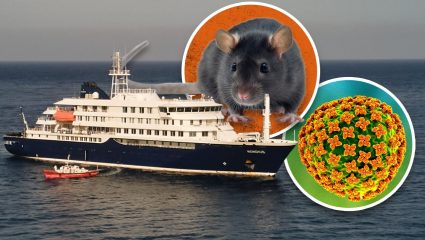 Hantavirus Update : जगावर दुसऱ्या महामारीचे संकट? अटलांटिकमध्ये क्रूझवर Hantavirus चा उद्रेक, ३ जणांच्या मृत्यूनंतर WHO चा ‘अलर्ट’