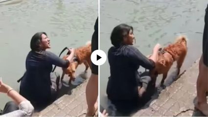 Haridwar Viral Video : गंगा घाटावर श्वानाला अंघोळ घालण्यावरुन पेटला वाद; नेटकऱ्यांनी केला संताप व्यक्त, VIDEO VIRAL