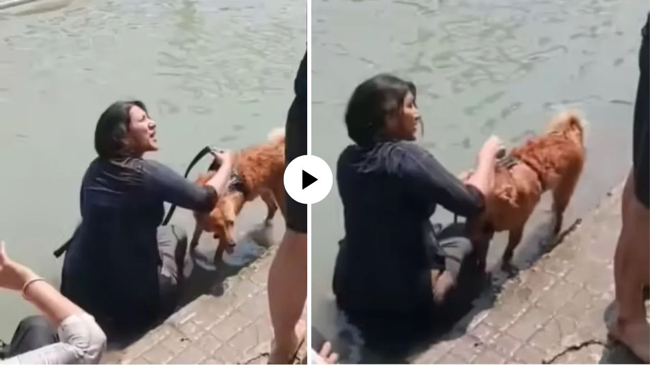 Haridwar Viral Video : गंगा घाटावर श्वानाला अंघोळ घालण्यावरुन पेटला वाद; नेटकऱ्यांनी केला संताप व्यक्त, VIDEO VIRAL