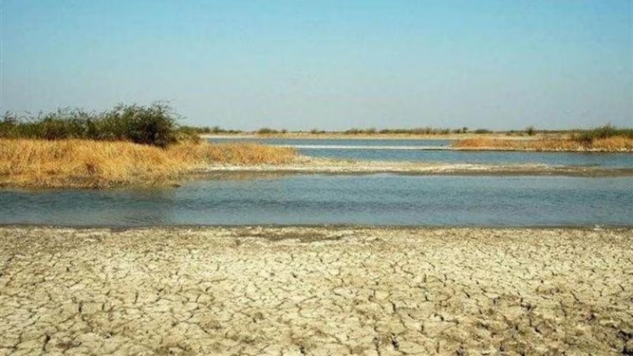 Luni River: समुद्राला न मिळणारी भारतातील एकमेव नदी? जाणून घ्या ‘या’ वाळवंटातील जीवनवाहिनीचा  रंजक प्रवास… 