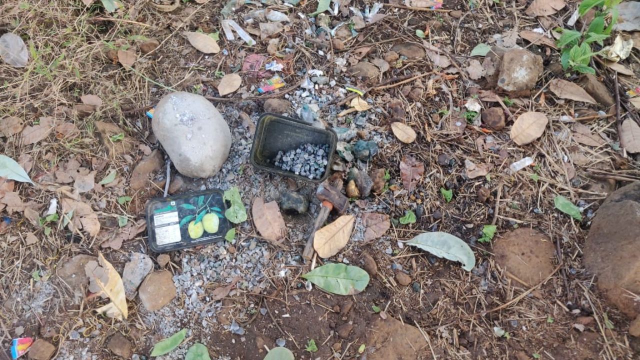 Jaigad Bomb Blast: जयगड परिसरात गावठी हातबॉम्बचा स्फोट; महिला गंभीर जखमी, २९ जिवंत बॉम्ब जप्त