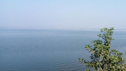 राज्यात पाणीटंचाईची भीती; महाराष्ट्रातील धरणांत अवघा 27.79% पाणीसाठा