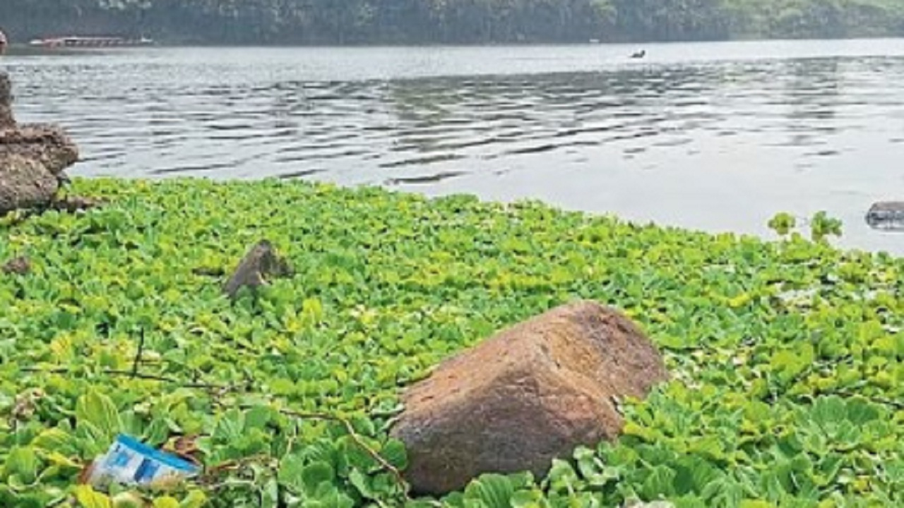 मुळा-मुठा नदीकाठची गावे दूषित पाण्याच्या विळख्यात; 70 ते 80 गावांमध्ये पिण्याच्या पाण्याचा प्रश्न गंभीर