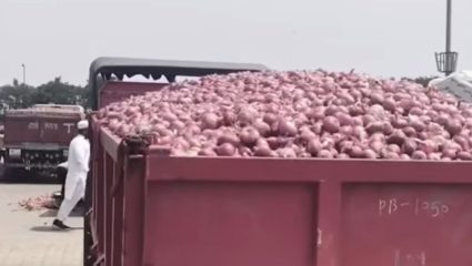 Nashik : निर्यात घटली, दर कोसळले; कांद्यावरून पुन्हा शेतकरी आक्रमक