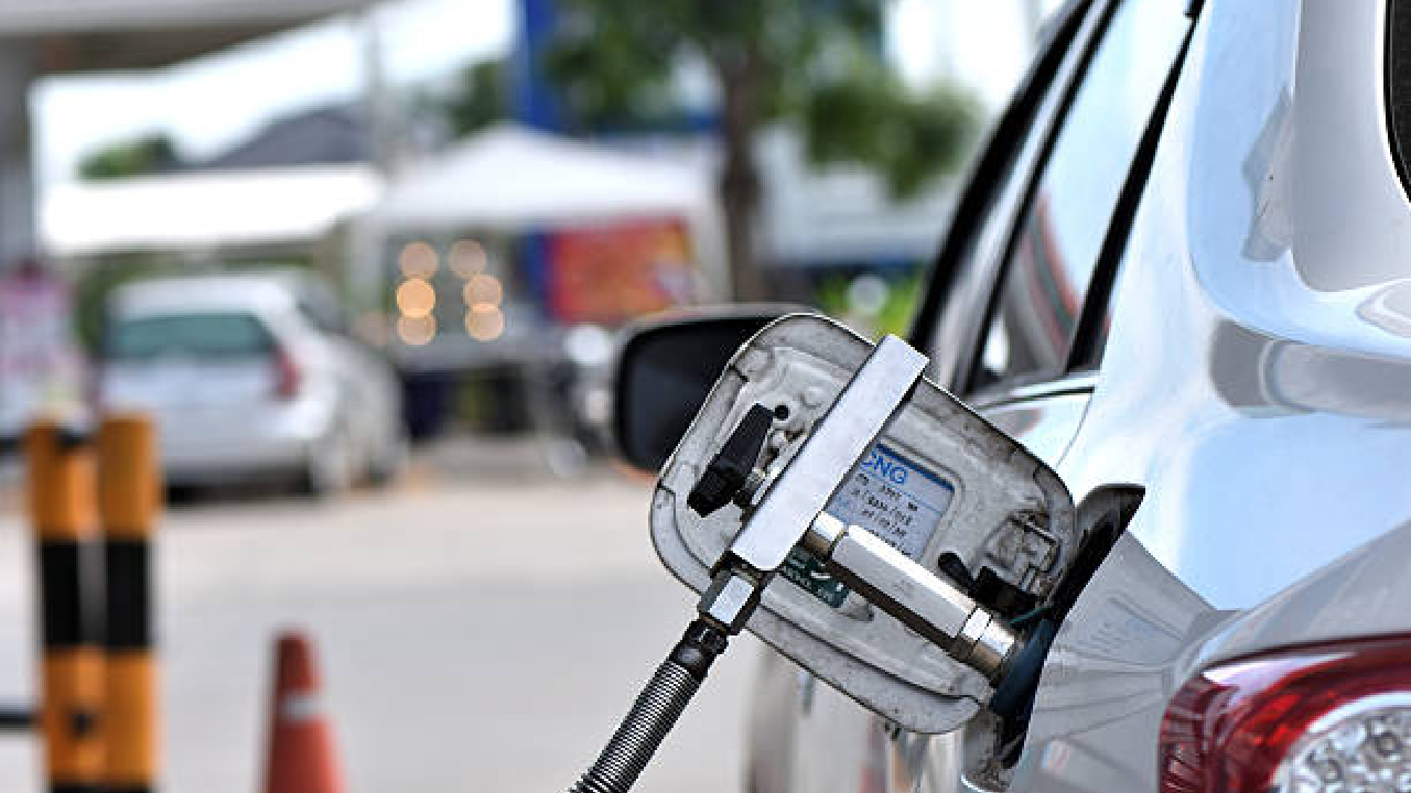 नुसता राडा! CNG मार्केटवर ‘या’ कंपनीचा ताबा; पहा टॉप कार्सच्या विक्रीची यादी, व्हाल थक्क
