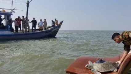 महाराष्ट्र टू ओमान! ‘धवल लक्ष्मी’ची 3,500 किलोमीटरची अनोखी जल सफर, वाचा सविस्तर…