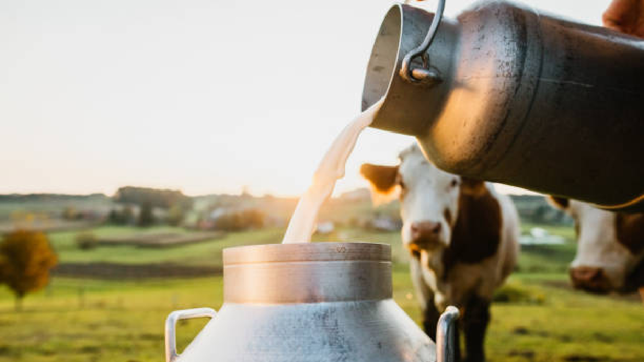 Milk Price Hike: दुधाचा सर्वसामान्यांना ‘दे’ धक्का! ‘या’ कंपन्यांनी वाढवले दर, कधी लागू होणार?
