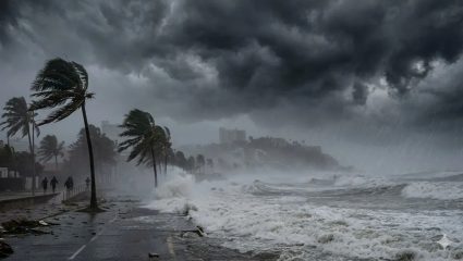 IMD Rain Alert: ‘या’ दिवशी केरळमध्ये धडकणार मान्सून; उष्णतेपासून दिलासा मिळणार