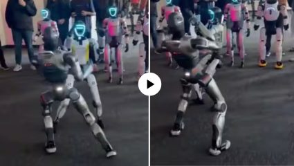 Robot Fighting : आता मैदानात रोबोट्स भिडणार! एकमेकांचे मुडदे पाडण्यासाठी रिंगणात उतरले रोबोट पैलवान; VIDEO पाहून नेटकरी म्हणाले…