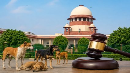 Supreme Court : श्वान प्रेमींना सुप्रीम कोर्टाचा धक्का! सार्वजनिक सुरक्षेला प्राधान्य देत आवारा कुत्र्यांवरील याचिका फेटाळल्या