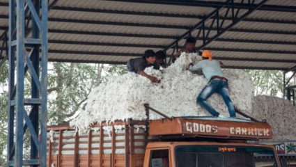 Amravati News: कापसाच्या दरवाढीचा फायदा व्यापाऱ्यांना! कवडीमोल विक्री, नंतर दरवाढ; शेतकऱ्यांचे दुहेरी नुकसान