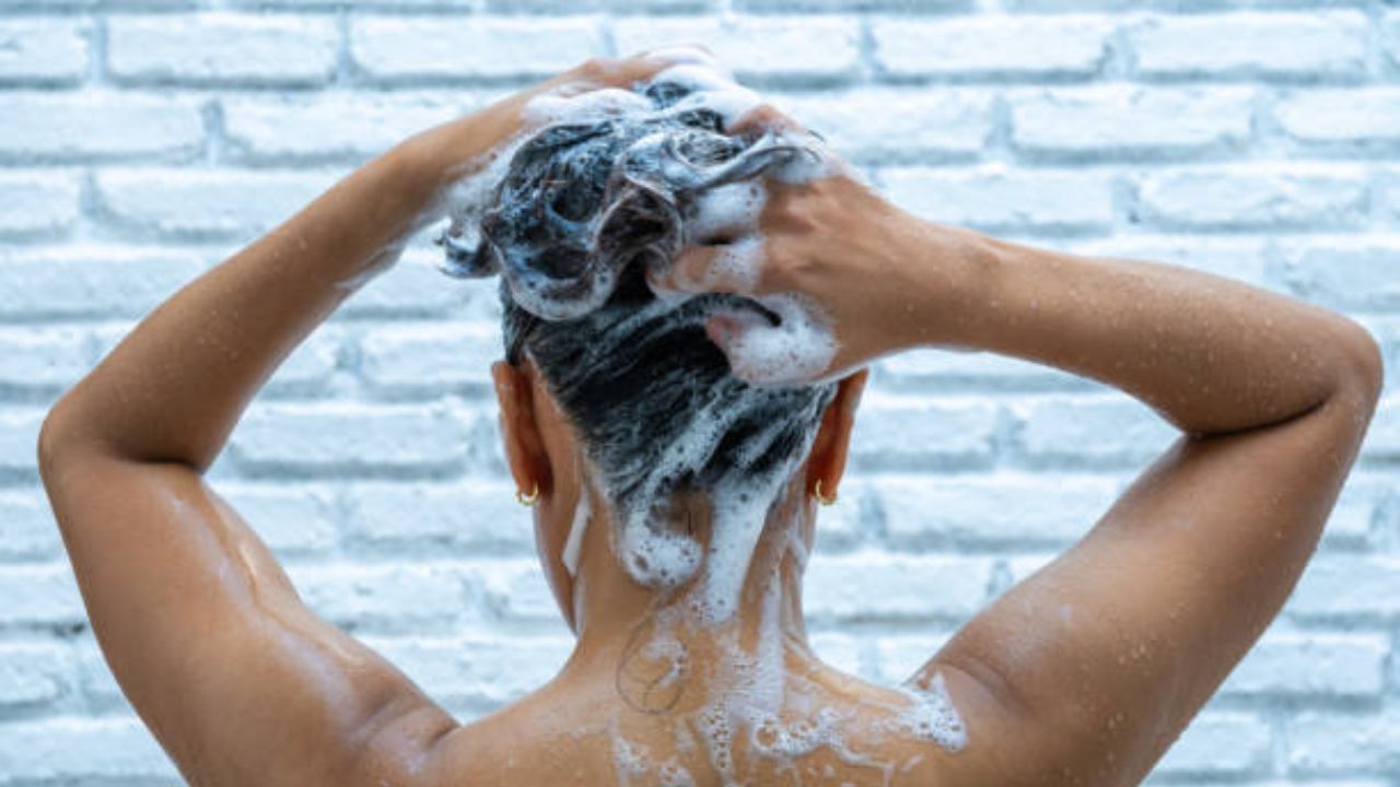 Hair Care Tips: आठवड्यातून किती वेळा केस धुवणे योग्य? रोज केस धुतल्यामुळे उद्भवतात केसांसंबधित ‘या’ गंभीर समस्या