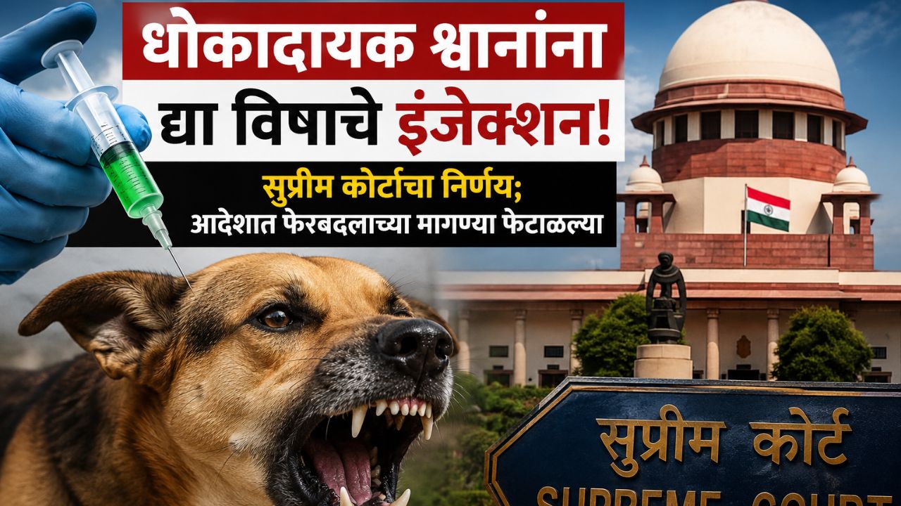 धोकादायक श्वानांना द्या विषाचे इंजेक्शन! सुप्रीम कोर्टाचा निर्णय; आदेशात फेरबदलाच्या मागण्या फेटाळल्या