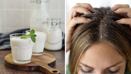 केसांमध्ये वाढलेल्या कोंड्यामुळे टाळूवर सतत खाज येते? मग ‘या’ पद्धतीने करा ताकाचा वापर, कोंडा होईल पूर्णपणे नाहीसा