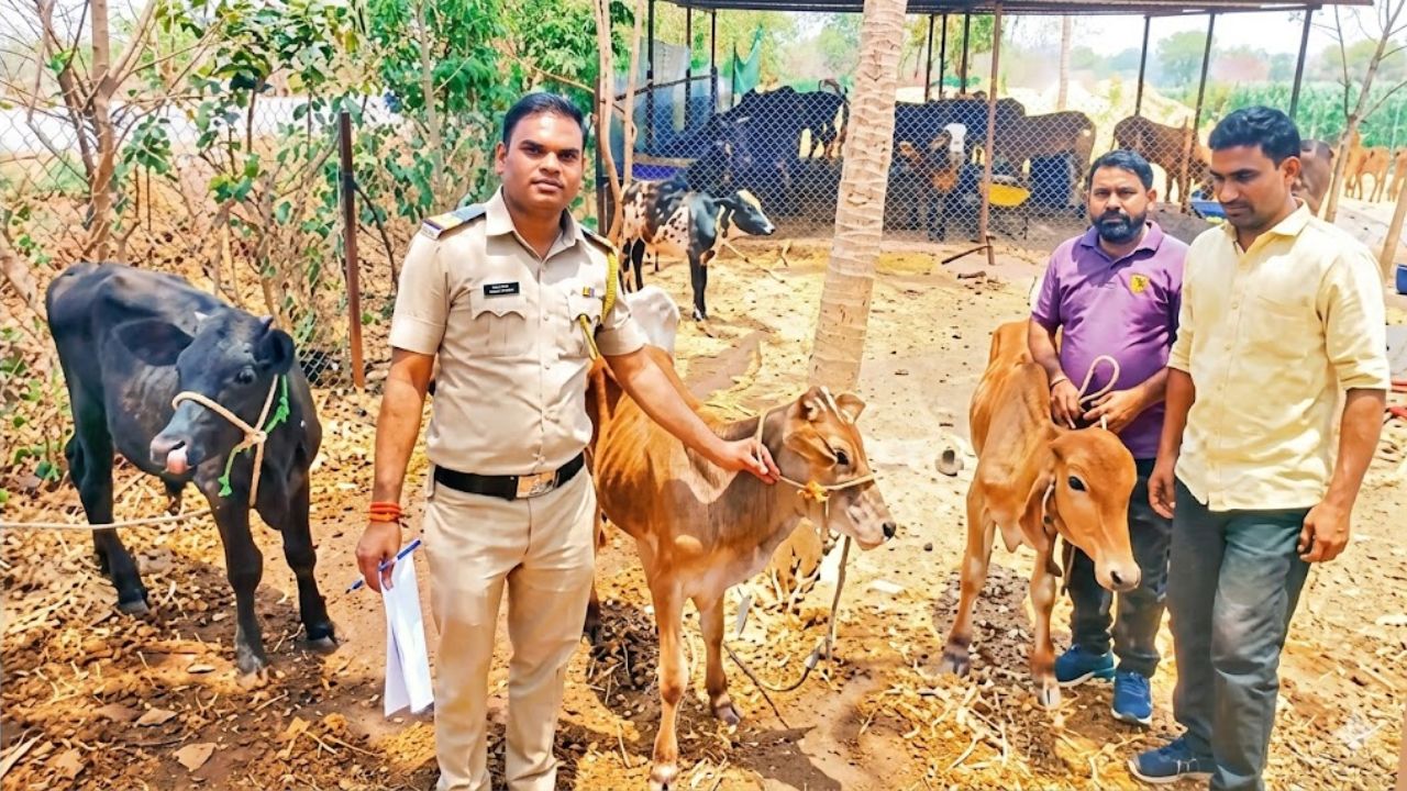 Crime News: ग्रामीण पोलिस अॅक्शन मोडवर बकरी ईदपूर्वी १८ आरोपींवर कारवाई, ३८ लाखांचा मुद्देमाल जप्त