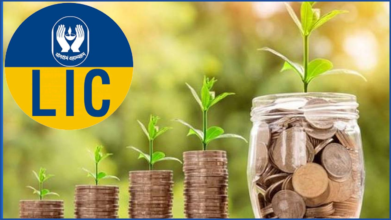 Share Market मध्ये Invest करताना रिस्कची भीती वाटतेय? LIC ने आणल्या 2 जबरदस्त स्कीम्स; पैशांवर मिळणार ‘गॅरंटीड रिटर्न’!