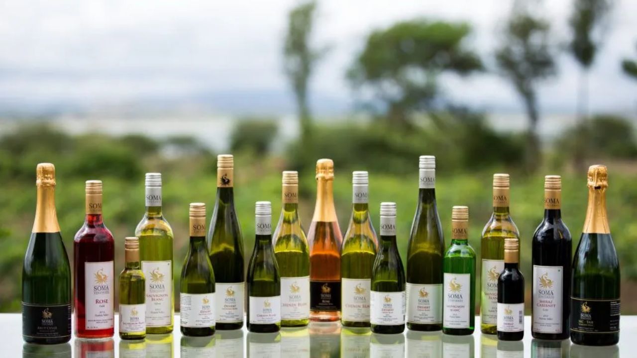 Wine Capital of India: मुंबईपासून हाकेच्या अंतरावर असलेल्या ‘या’ शहराला म्हणतात भारताची ‘वाइन कॅपिटल’?