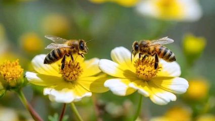 World Bee Day : धक्कादायक वास्तव! मधमाश्या संपल्या तर अवघ्या 4 वर्षांत माणूसही संपणार? पाहा शास्त्रज्ञांचा इशारा