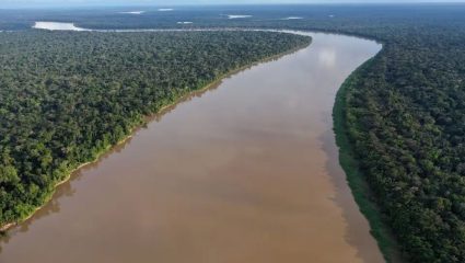 Why No Bridges on Amazon River: जगातील सर्वात मोठ्या नद्यांपैकी एक; पण ‘या’ नदीवर एकही पूल का नाही?