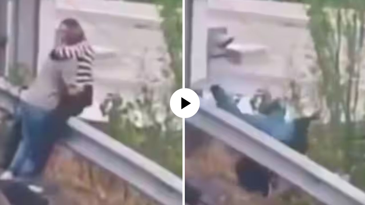 प्रेमाचा Overdose! Kiss करण्यात इतके गुंग की रेंलिगवरुन खड्ड्यात पडलं जोडप, VIDEO पाहून नेटकरी म्हणाले..