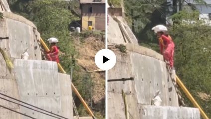 शेवटी सर्वात मोठी योद्धा आईच असते…! डोक्यावर पोतं आणि कमरेवर लेकराला घेऊन करु लागली प्रवास; भावनिक Video Viral
