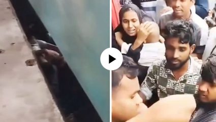 शेवटी बाप तो! मुलाला वाचवण्यासाठी वडिलांनी रेल्वे रुळावर मारली उडी, ट्रेनचे 8 डबे अंगावरुन गेले; थरारक Video Viral