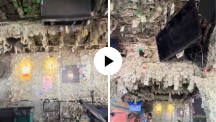 Video Viral : खरा खजिना तर इथे दडलाय…! डॉलर्सच्या नोटांनी सजवलं संपूर्ण रेस्टॉरंट; लोक म्हणाले, ‘हे तर पैशांचं संग्रहालयच’