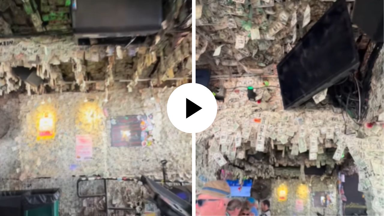 Video Viral : खरा खजिना तर इथे दडलाय…! डॉलर्सच्या नोटांनी सजवलं संपूर्ण रेस्टॉरंट; लोक म्हणाले, ‘हे तर पैशांचं संग्रहालयच’