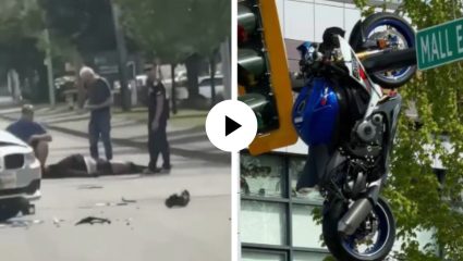 अजब-गजब! BMW ला अशी धडकली बाईक की थेट ट्रॅफीकच्या खांब्यालाच जाऊन लटकली, खाली पडला मालकाचा जीव; Video Viral