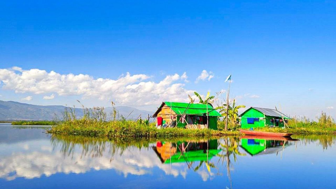 Travel News : पाण्यामध्ये तरंगणारं नॅशनल पार्क, इथे होडीत बसून केली जाते जंगल सफारी