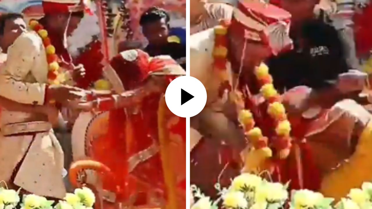 लग्नसमारंभ बनला आखाडा! वर-वधूमध्ये लग्नाच्या मंडपात सुरु झाली WWE फाईट, पाहून वऱ्हाडीही हादरली; घटनेचा Video Viral