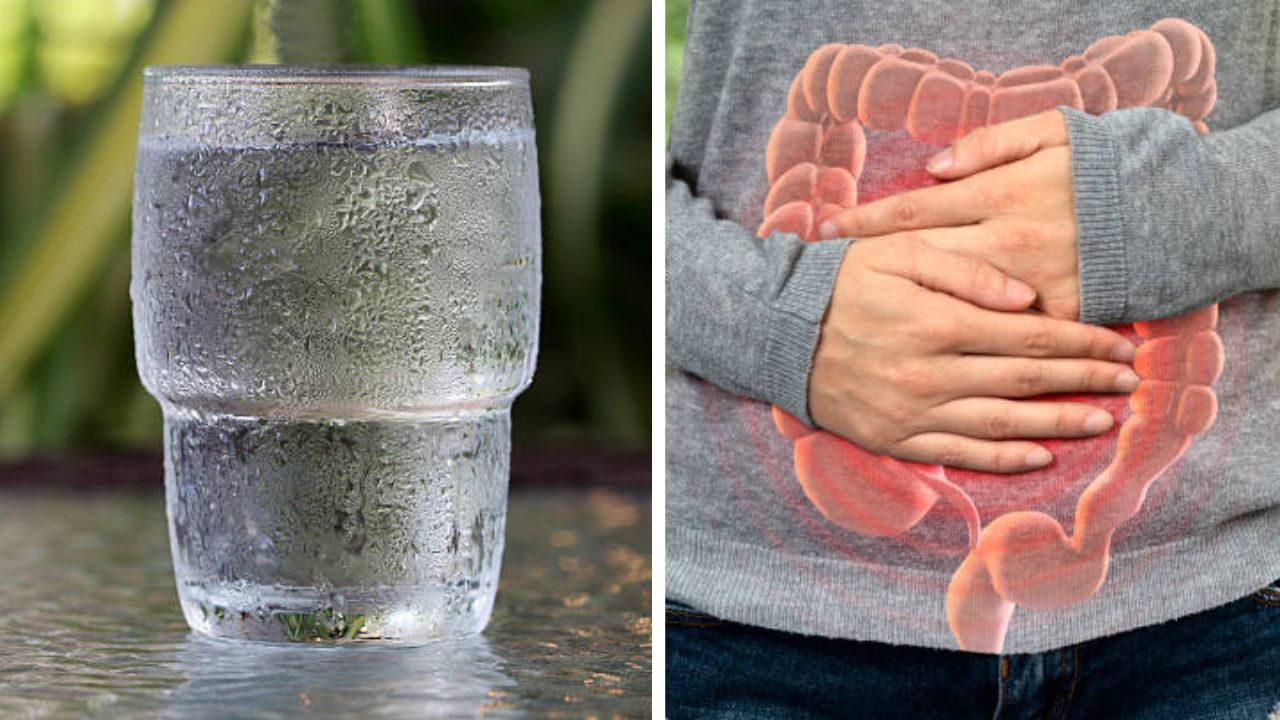 Cold Water : थंड पाणी पिल्याने पोटाला नुकसान पोहचते का? तज्ञांकडून जाणून घ्या खरं सत्य