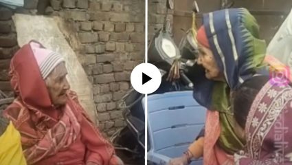 भांडणाचं रूपांतर कॉमेडीत! “तुझी खोपडी फोडेन” म्हणत 2 म्हाताऱ्या बहिणींमध्ये सुरु झाला वाद, पाहून यूजर्सना फुटलं हसू; Video Viral