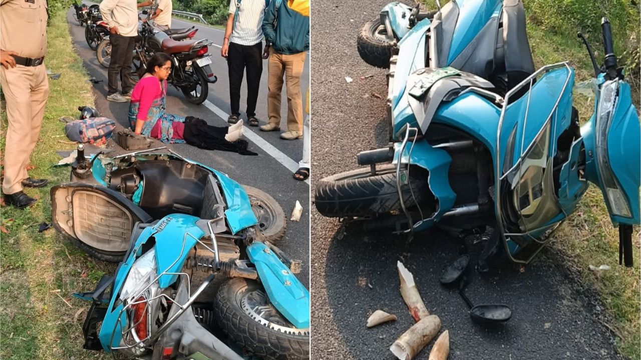 Viral : महिला बाईकस्वाराची हत्तीला टक्कर, धडकेनंतर दात तुडले अन् घाबरलेला प्राणी जंगलात फरार