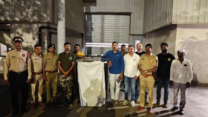 Leopard Captured : मर्सिडीज-बेंझ कंपनीतील बिबट्या अखेर जेरबंद; थरारक मोहिमेनंतर वन विभागाला यश
