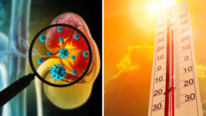 Rising Heat Problem: वाढत्या उन्हामुळे पुण्यात मुतखडा आणि मूत्रमार्गातील संसर्गाच्या रुग्णांमध्ये वाढ