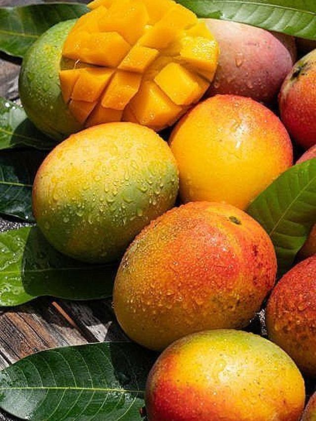 आंब्यापासून बनणाऱ्या टेस्टी रेसिपीज