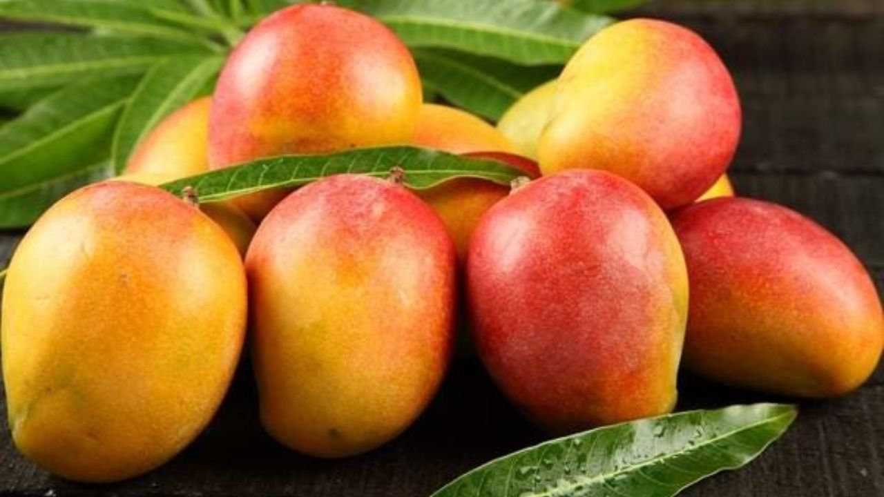 Mango: आंबा खाण्याआधी पाण्यात का भिजवावे? जाणून घ्या यामागचे कारण