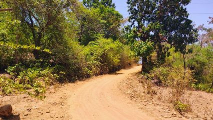 Matheran News : आदिवासी कार्यकर्त्यांच्या आंदोलनाला अखेर यश, डोंगरातून रस्ता करण्यासाठी वनखात्याची मंजूरी
