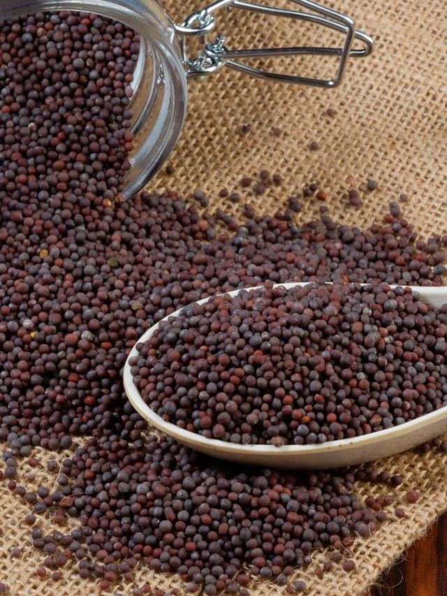 मोहरी खाण्याचे काय आहे आरोग्यदायी फायदे