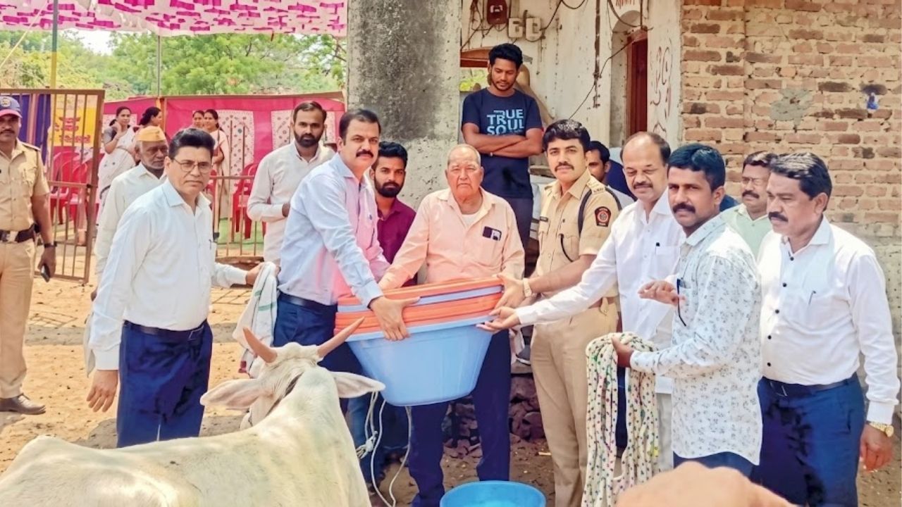 Akola News : सरस्वती मंदिर शाळेत गोमाता सन्मान दिन! माजी विद्यार्थी संघाचा पुढाकार; प्रचार रथाद्वारे केली जनजागृती