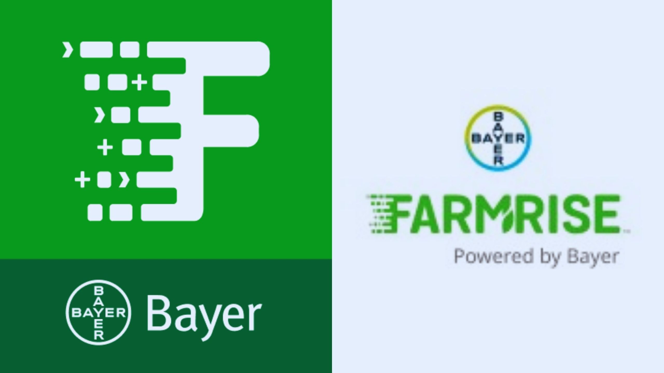 Bayer चे शेतकऱ्यांशी संबंध मजबूत! ५० लाख शेतकऱ्यांपर्यंत पोहोचले ‘Farm Rise’ एप्लिकेशन