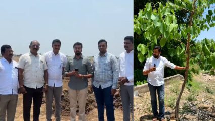 Sangali News : जिल्ह्यात ‘Tree Army’ची हरित क्रांती! ‘पिंपळाचे पुनर्वसन ते लोकचळवळ’, आमदार सुहास बाबर यांचा पुढाकार