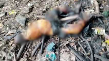 Mira Bhayandar crime: भाईंदरमध्ये खळबळ! गुरुद्वारासमोरील झुडपांत सापडला अर्धनग्न जळालेला मृतदेह; पोलीस तपास सुरु